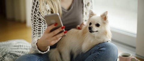 Mujer con perro que usa su teléfono