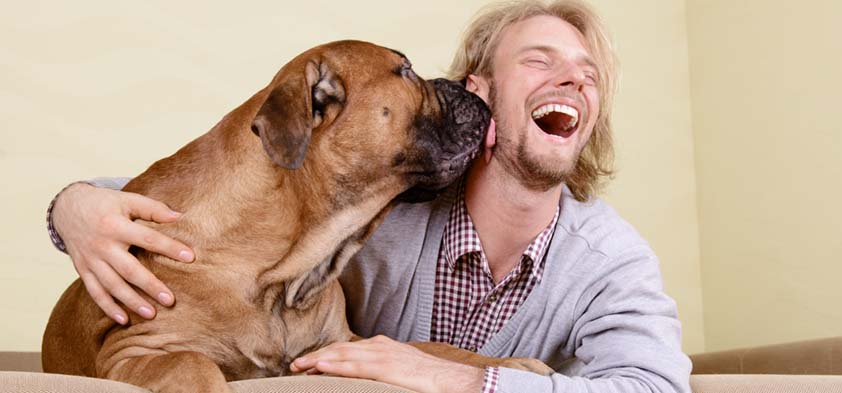 Paul, el amante de las mascotas, recibe un beso de un perro grande