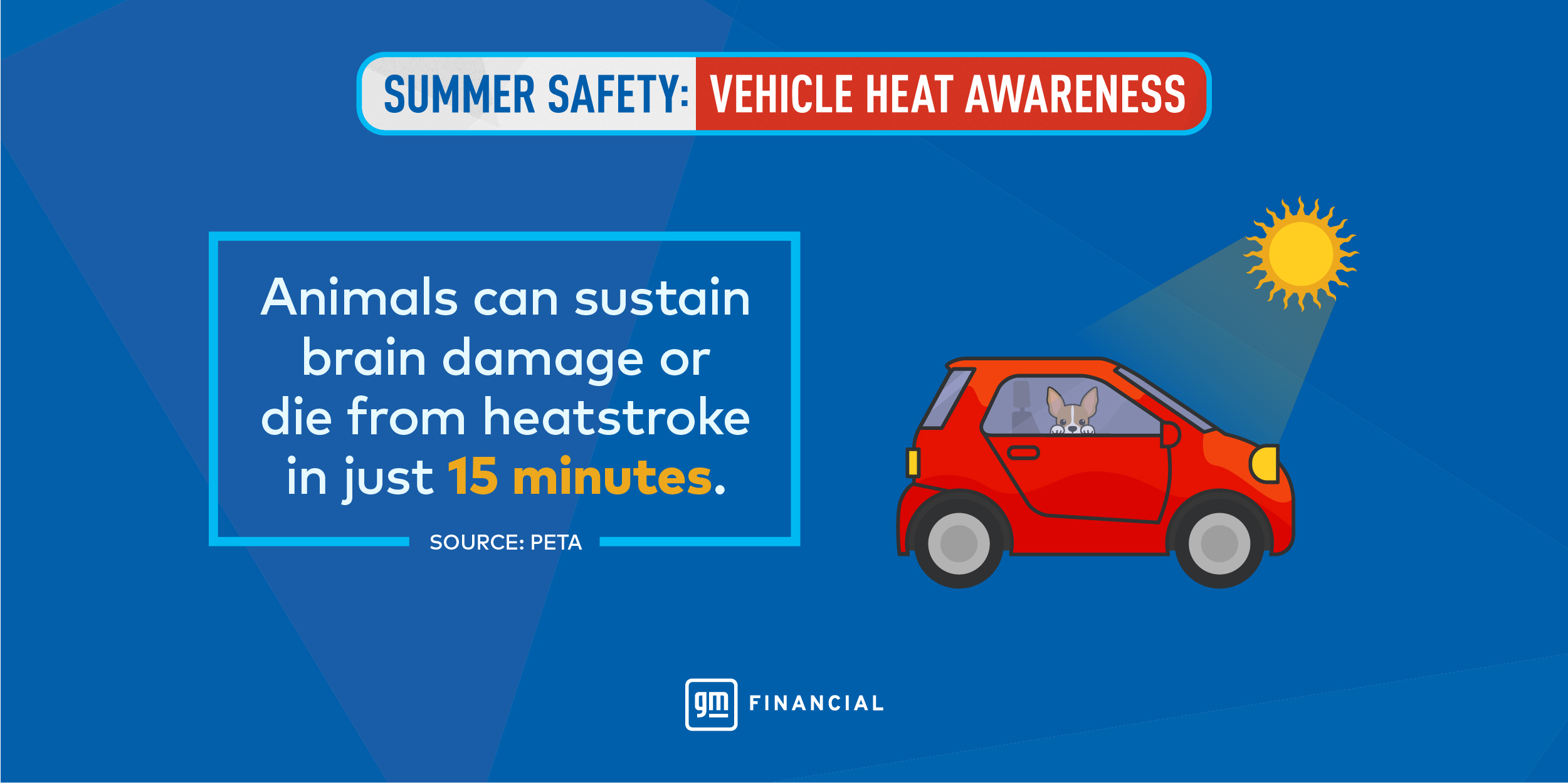 Animals can get brain damage or die from heatstroke in just 15 minutes..
