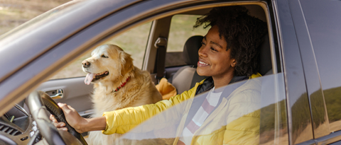 Mujer feliz y su perro conduciendo por la carretera